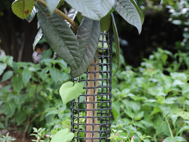 芝生植え付けネット